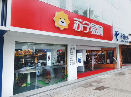 苏宁易购.购物 论中文域名对品牌的重要性与优点