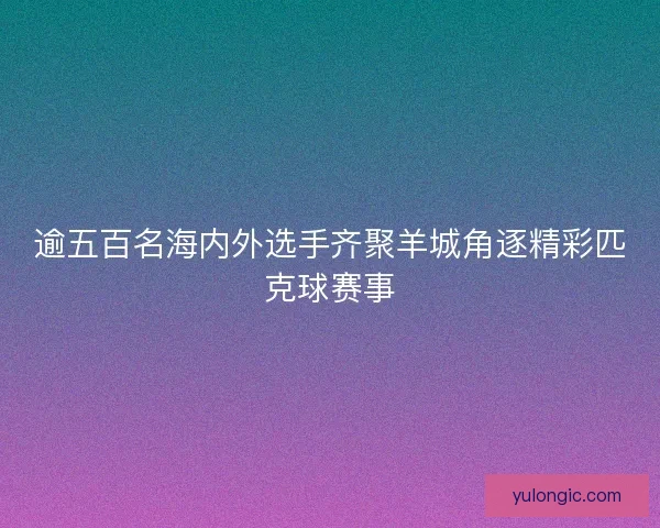 逾五百名海内外选手齐聚羊城角逐精彩匹克球赛事
